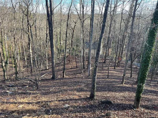 a view of a backyard with trees