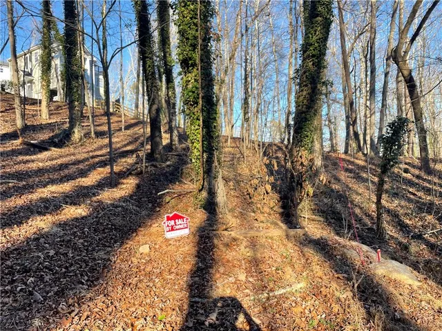a view of backyard of house