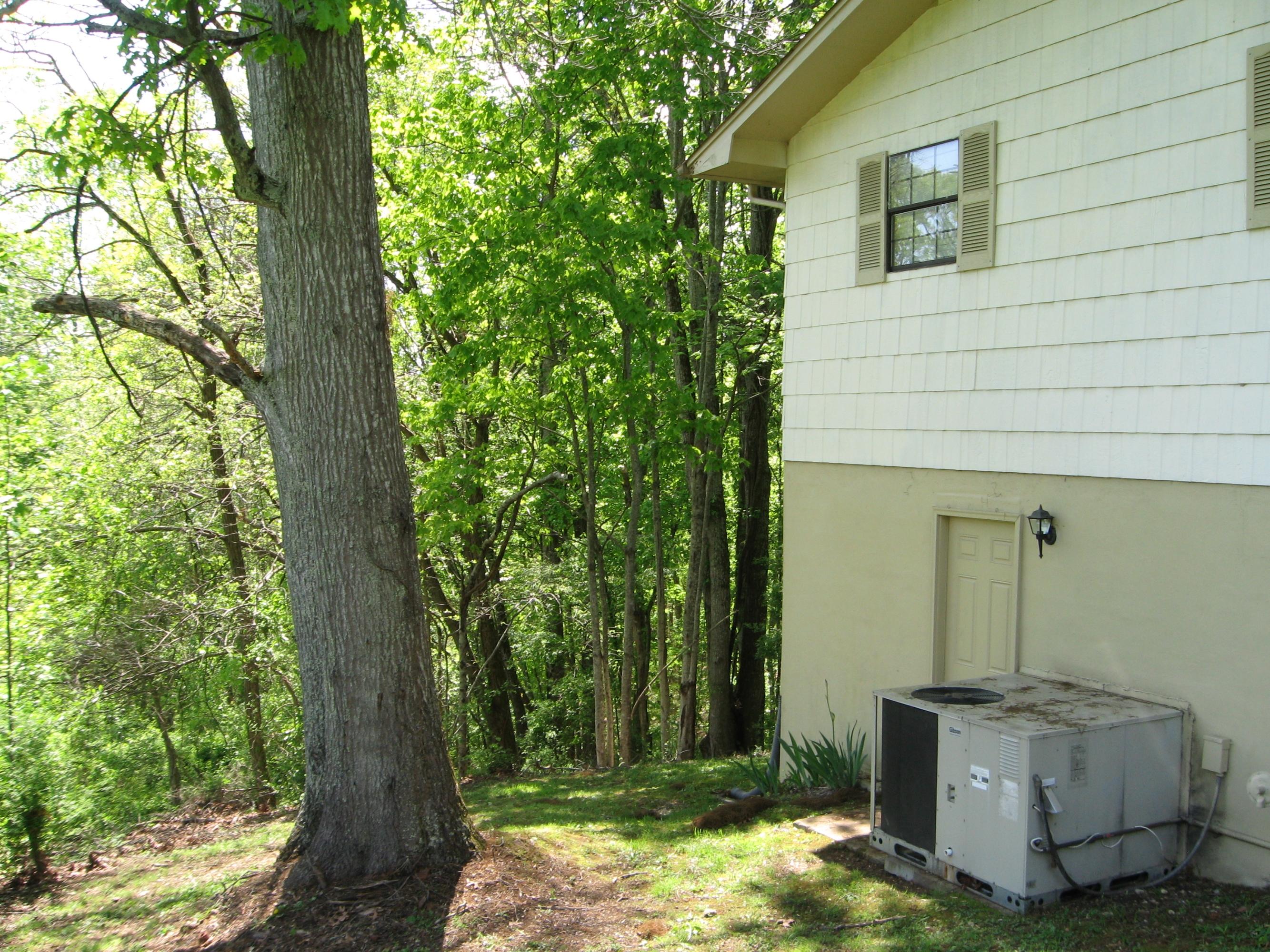571 Stephens Road Lake City, TN 37769 - Photo 23 of 25 IMG_0982