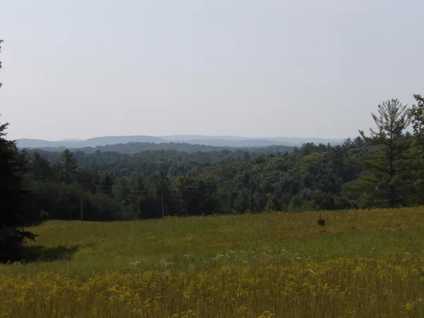 $55,000 | 243 Mountain View Drive, Unit 19, Deer Lodge, TN 37726