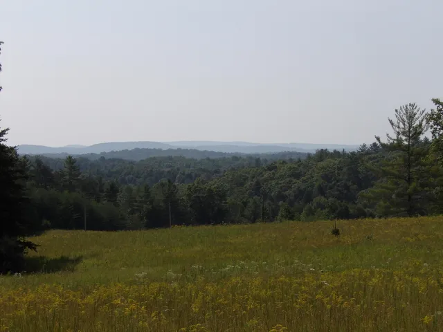 $55,000 | 243 Mountain View Drive, Unit 19, Deer Lodge, TN 37726