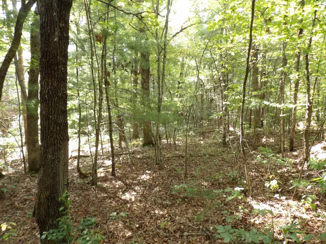 $55,000 | 243 Mountain View Drive, Unit 19, Deer Lodge, TN 37726