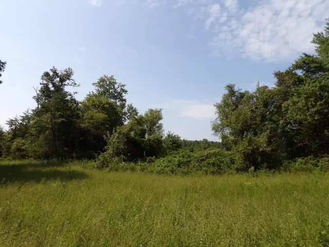 $55,000 | 243 Mountain View Drive, Unit 19, Deer Lodge, TN 37726