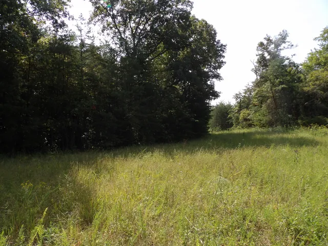 $55,000 | 243 Mountain View Drive, Unit 19, Deer Lodge, TN 37726