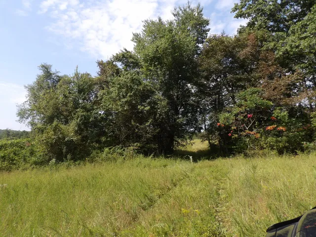 $55,000 | 243 Mountain View Drive, Unit 19, Deer Lodge, TN 37726