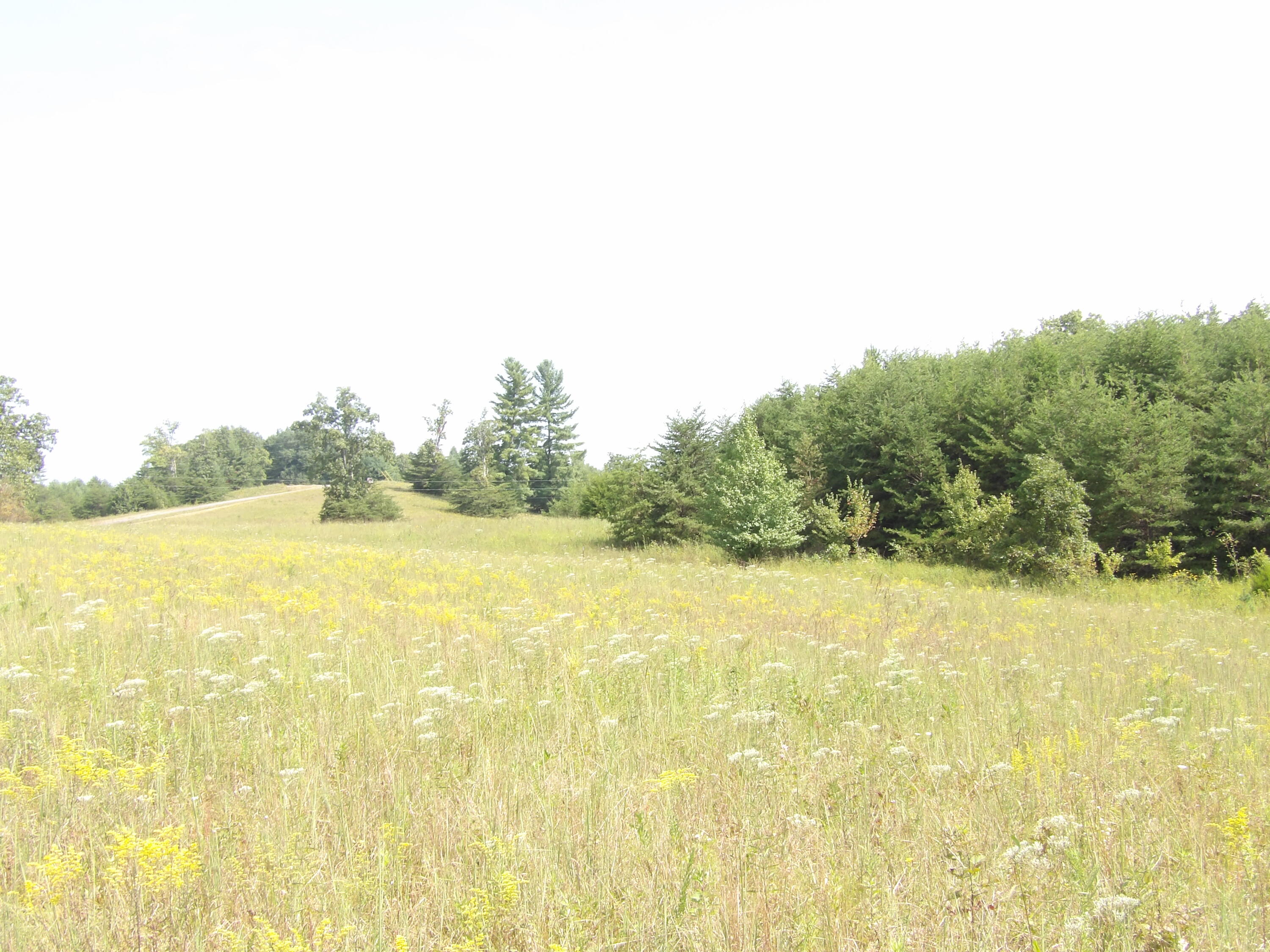 243 Mountain View Drive, Unit 19 Deer Lodge, TN 37726 - Photo 21 of 22 100_0800