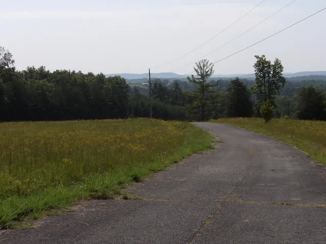 $55,000 | 243 Mountain View Drive, Unit 19, Deer Lodge, TN 37726