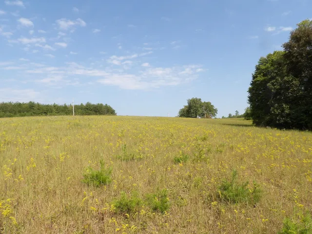 $55,000 | 243 Mountain View Drive, Unit 19, Deer Lodge, TN 37726