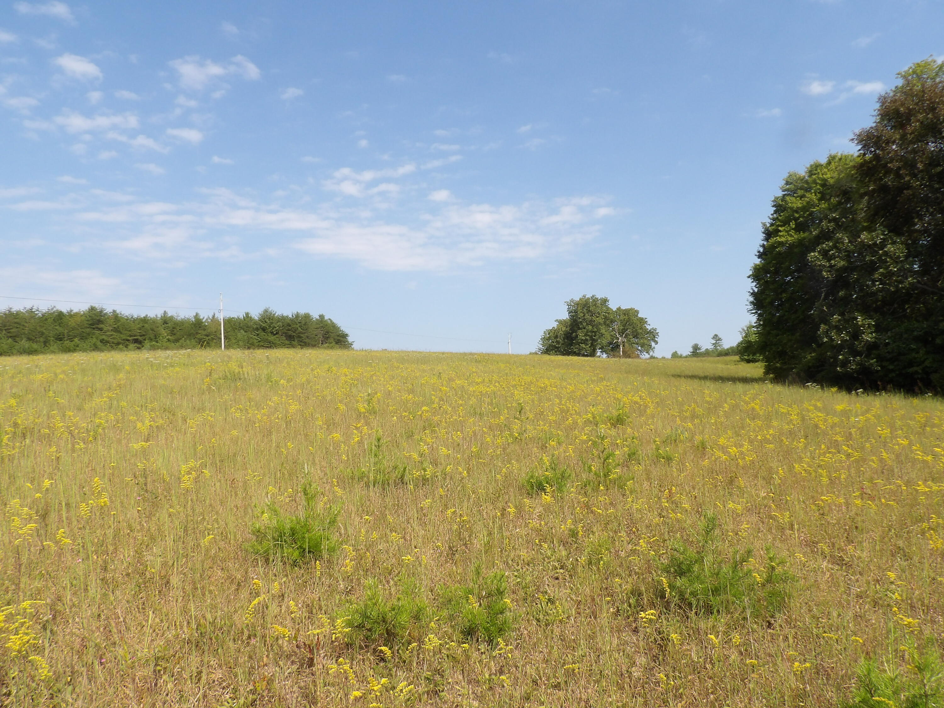 243 Mountain View Drive, Unit 19 Deer Lodge, TN 37726 - Photo 3 of 22 100_0764