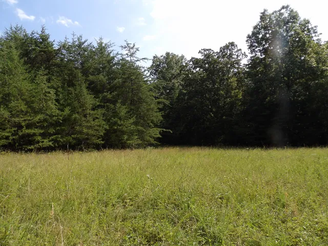 $55,000 | 243 Mountain View Drive, Unit 19, Deer Lodge, TN 37726