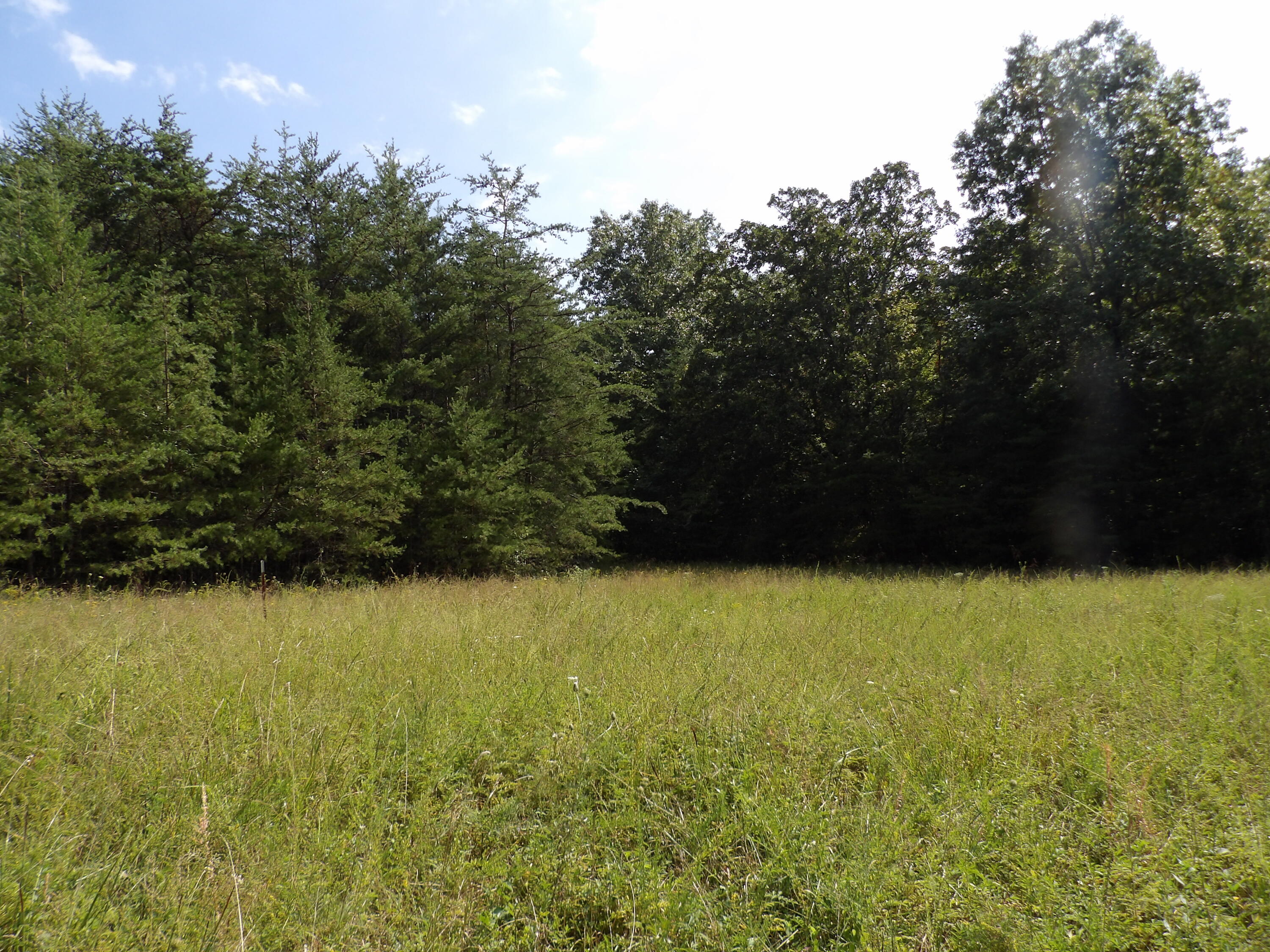 243 Mountain View Drive, Unit 19 Deer Lodge, TN 37726 - Photo 4 of 22 100_0765