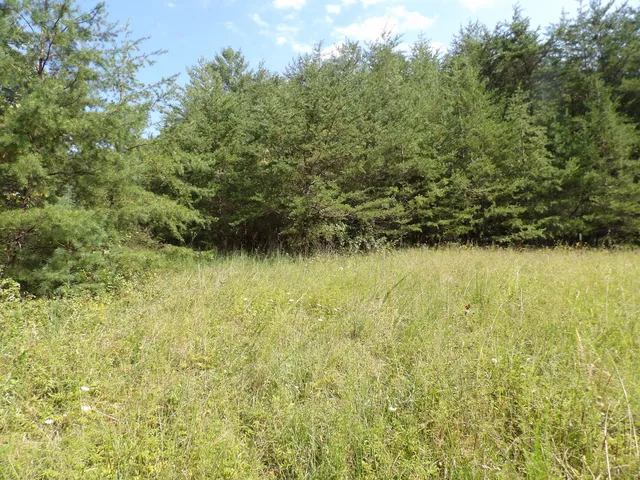 $55,000 | 243 Mountain View Drive, Unit 19, Deer Lodge, TN 37726