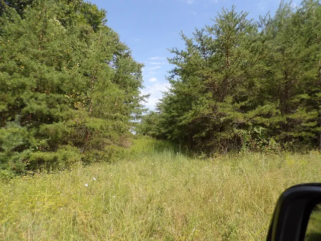 $55,000 | 243 Mountain View Drive, Unit 19, Deer Lodge, TN 37726