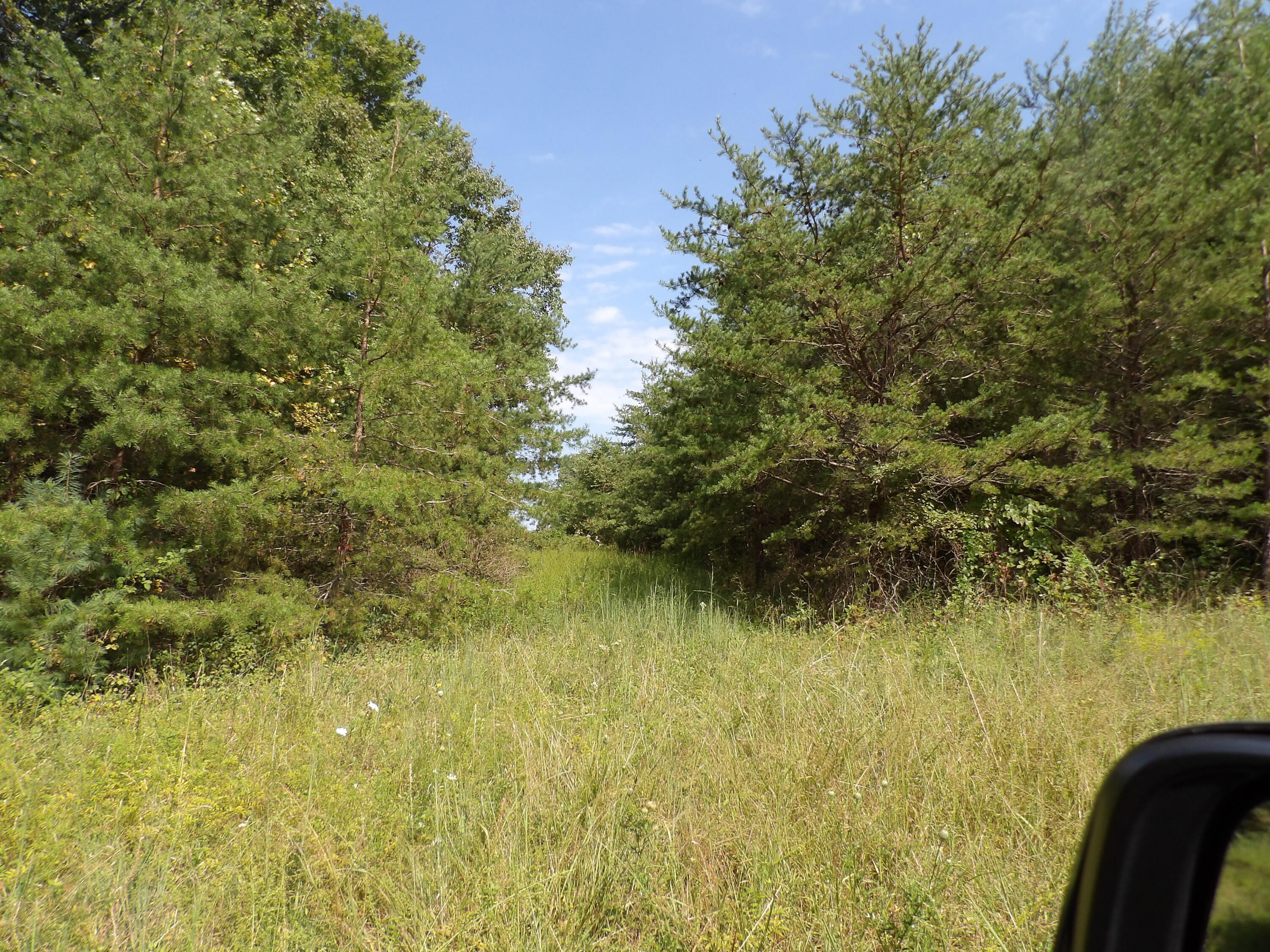 243 Mountain View Drive, Unit 19 Deer Lodge, TN 37726 - Photo 6 of 22 100_0767