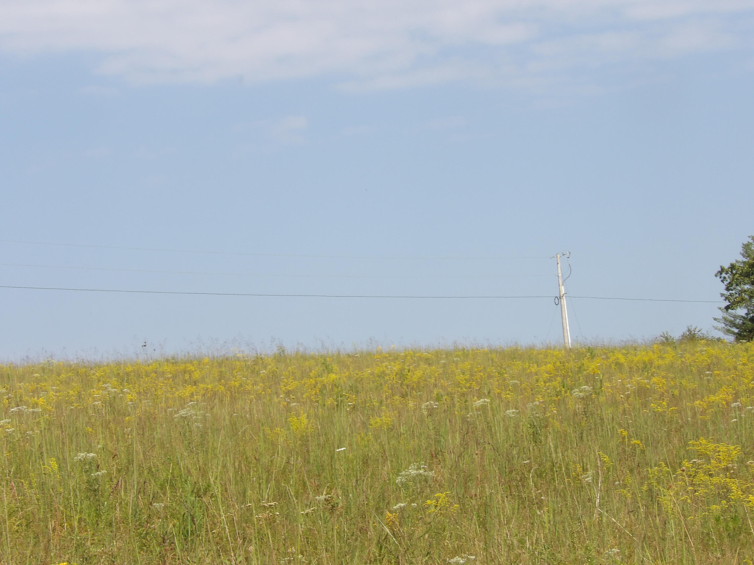 243 Mountain View Drive, Unit 19 Deer Lodge, TN 37726 - Photo 8 of 22 100_0772