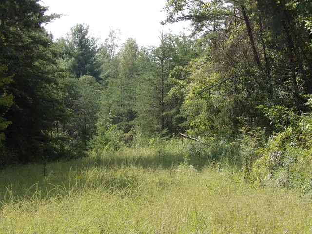 $55,000 | 243 Mountain View Drive, Unit 19, Deer Lodge, TN 37726