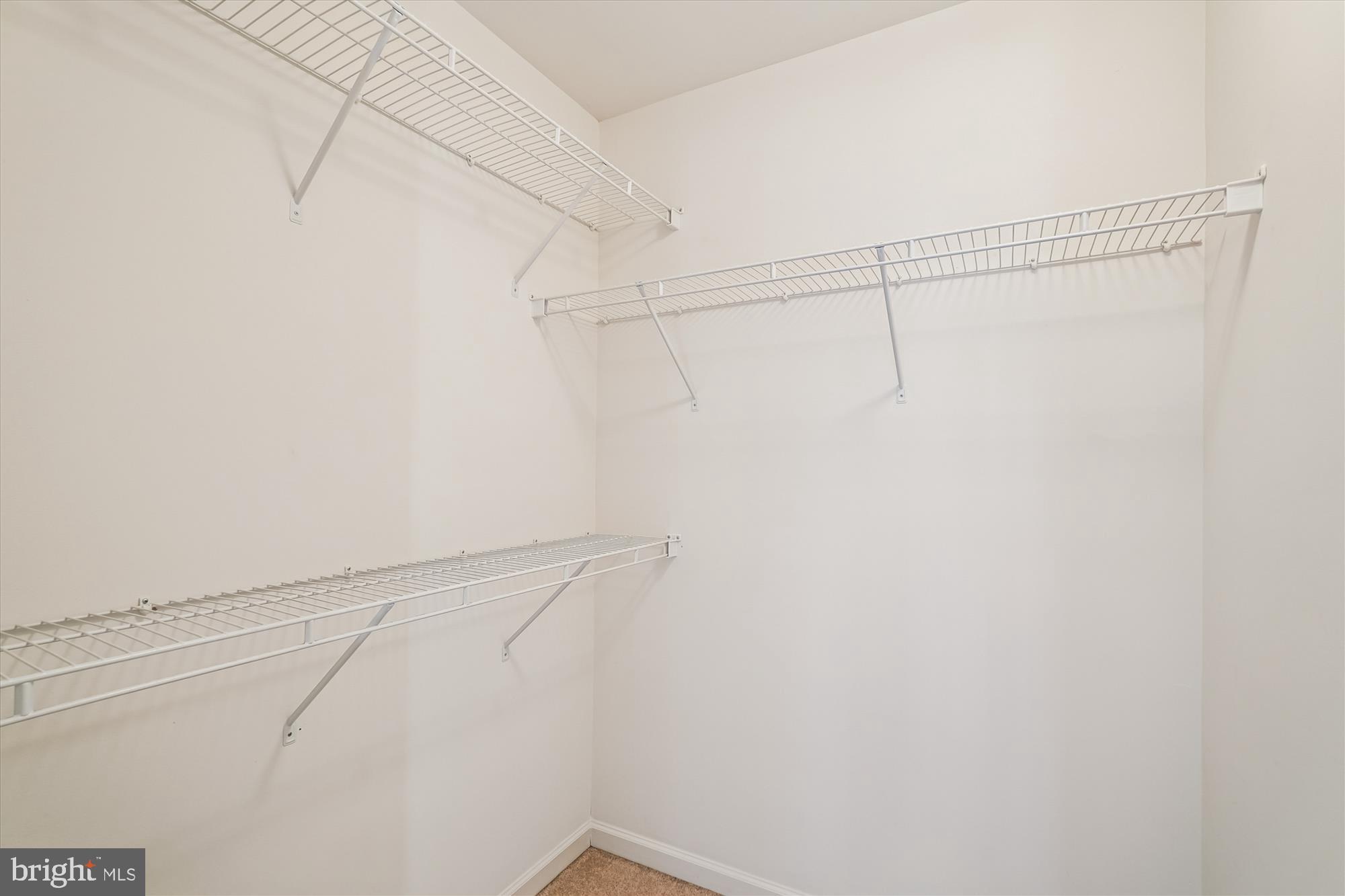 20861 Killawog Terrace Ashburn, VA 20147 - Photo 37 of 66 Walk In Closet