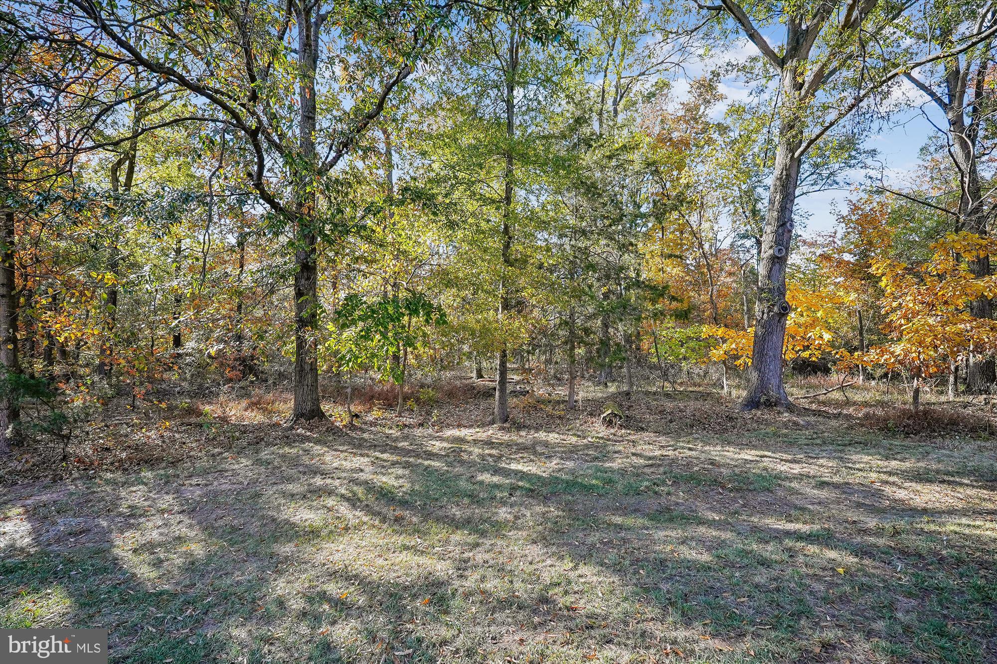 20861 Killawog Terrace Ashburn, VA 20147 - Photo 4 of 66 View from rear, backs to wooded parkland