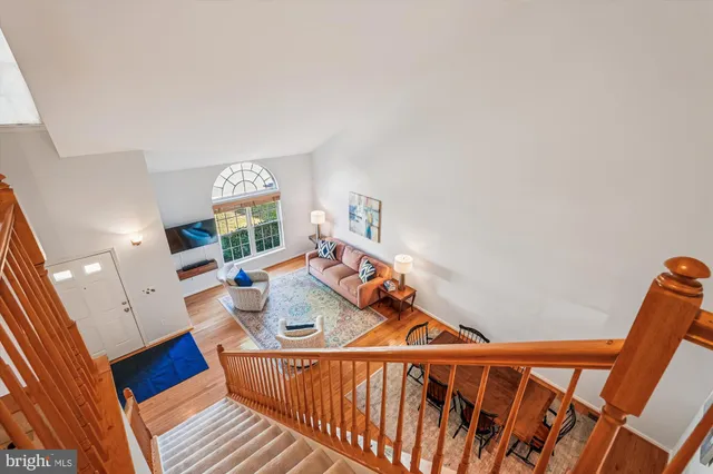 a view of a park with large trees and a big yard