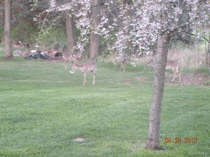 2196 Johnson Mill Road North Branch, MI 48461 - Photo 15 of 17 15
