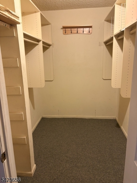 28 Rutgers Drive Newark, NJ 07103 - Photo 14 of 22 a view of walk in closet with empty racks