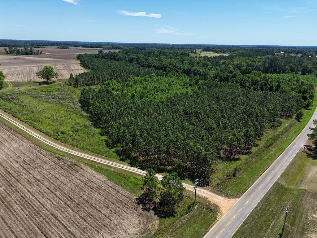 72-acr Ozell Road Boston, GA 31626 - Photo 2 of 3 Gallery Image 2