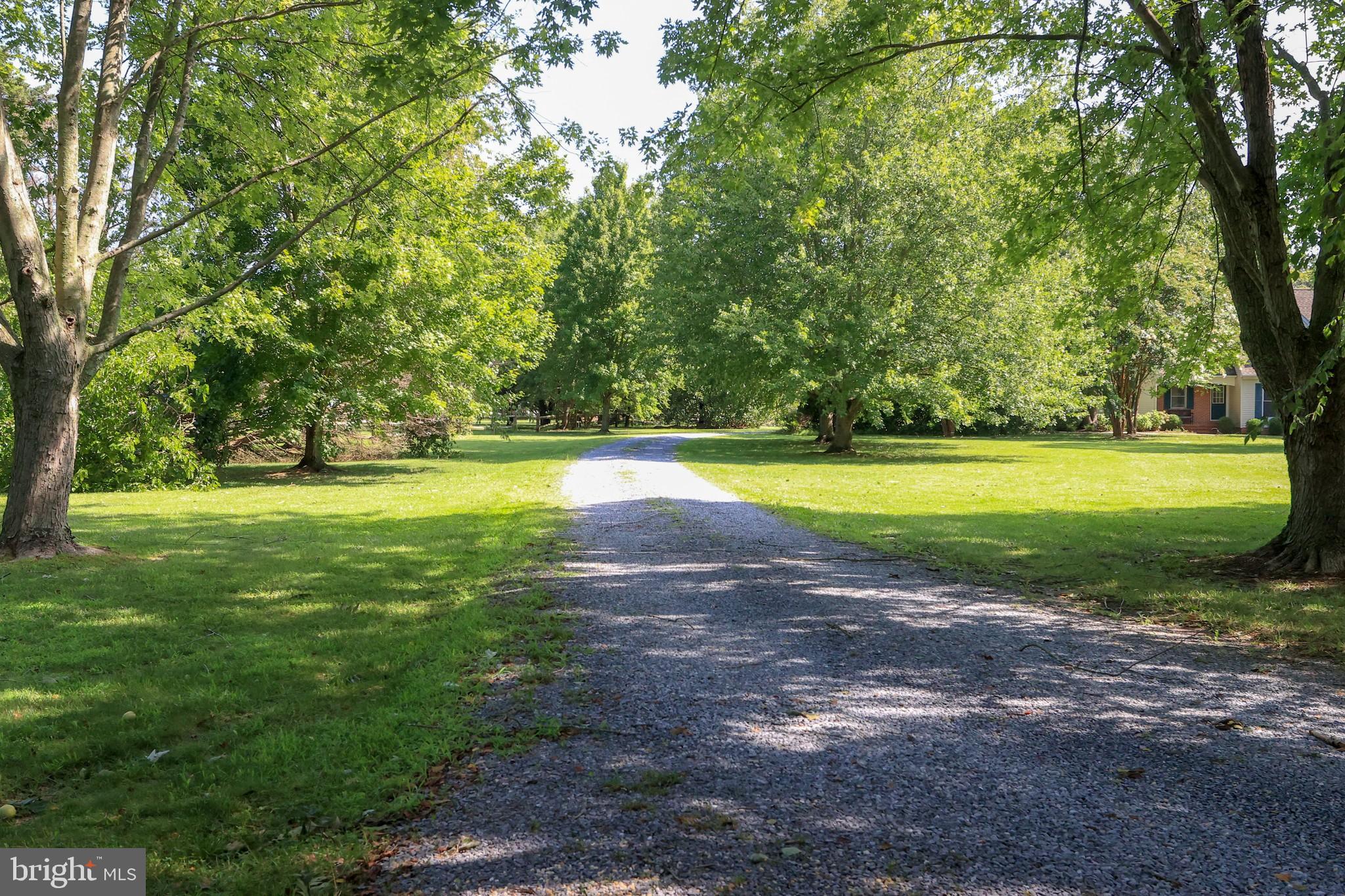 8779 Quailsar Road Easton, MD 21601 - Photo 70 of 74