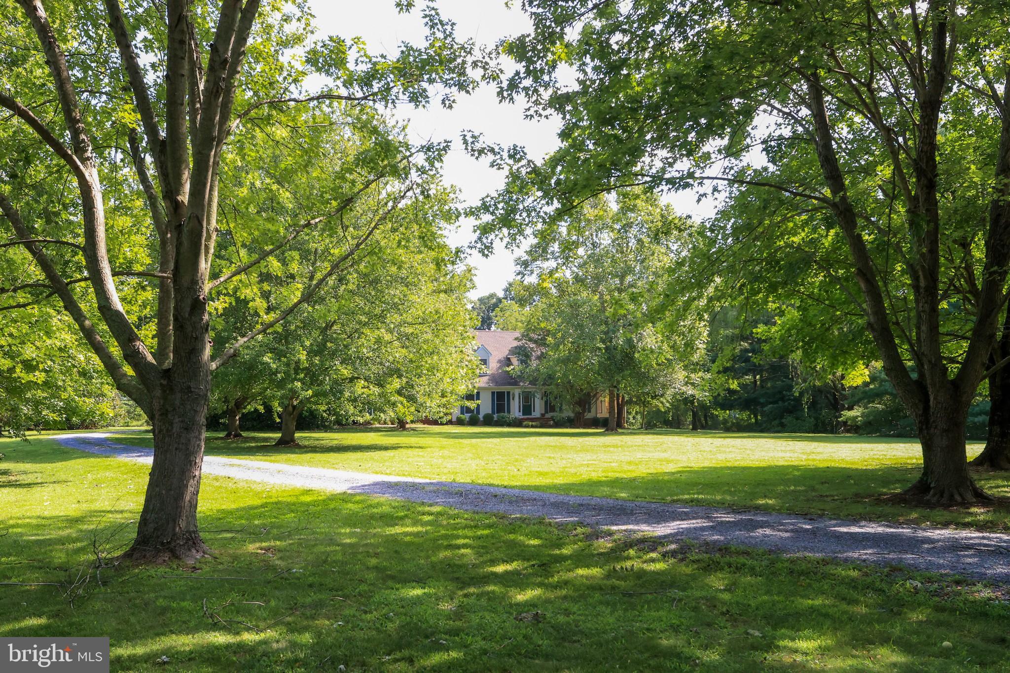 8779 Quailsar Road Easton, MD 21601 - Photo 71 of 74