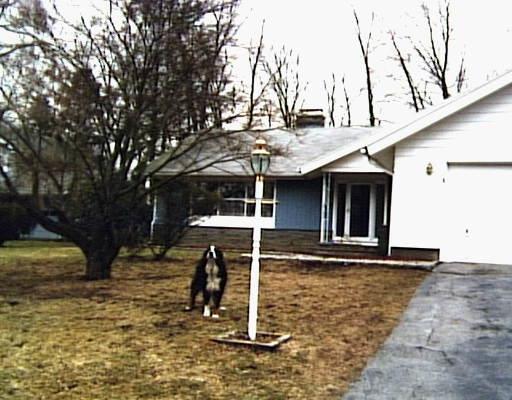 235 Ferncliff Road Fairfield, CT 06825 - Photo 1 of 1 a view of house with backyard and trees