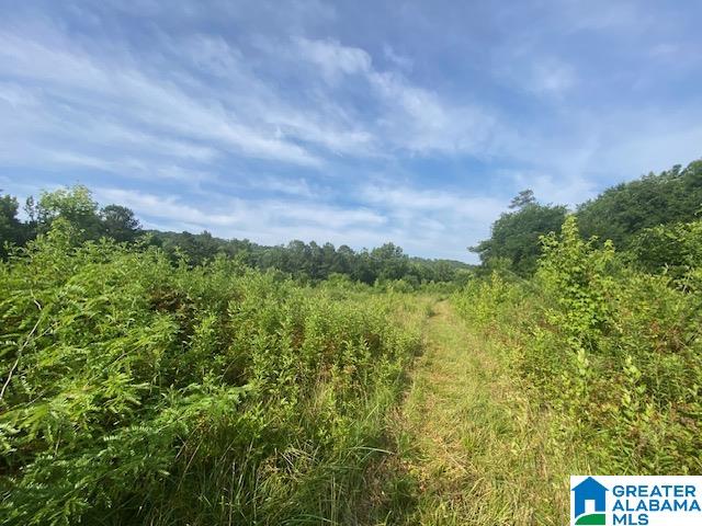 0 Highway 231, Unit 88 / AC Cleveland, AL 35049 - Photo 16 of 20