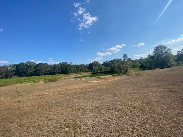 1154 Herbert Smith Road Osyka, MS 39657 - Photo 12 of 65 Photo 12
