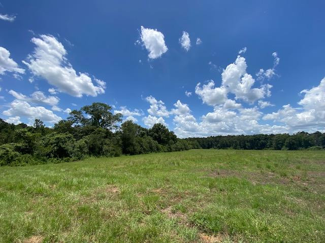 1154 Herbert Smith Road Osyka, MS 39657 - Photo 46 of 65 Photo 46