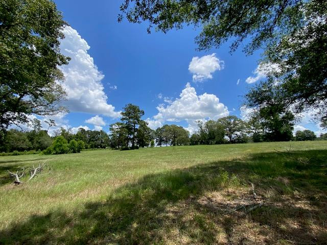 1154 Herbert Smith Road Osyka, MS 39657 - Photo 65 of 65 Photo 65