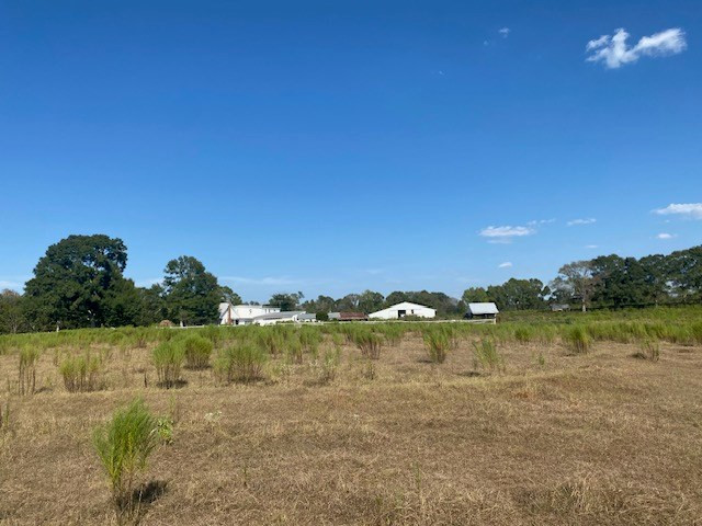 1154 Herbert Smith Road Osyka, MS 39657 - Photo 9 of 65 Photo 9