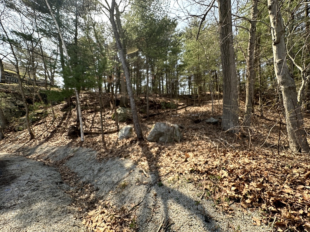 14 Cliff Road Saugus, MA 01906 - Photo 3 of 7