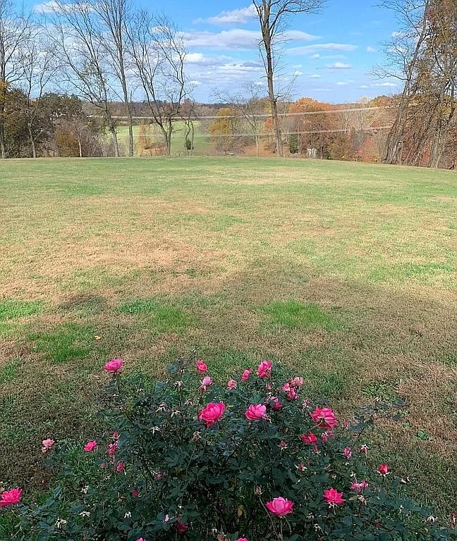 3685 South Hyde Road Springfield, TN 37172 - Photo 5 of 26 a view of street with yard