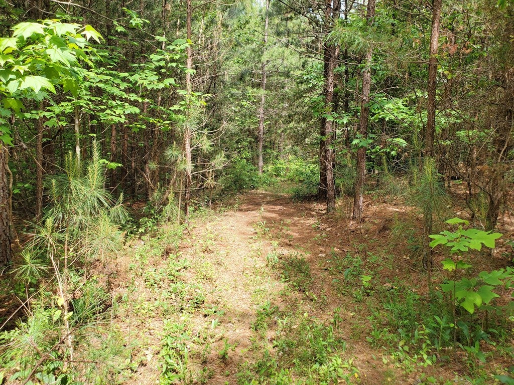 River View Appomattox, VA 24522 - Photo 2 of 10 Gallery Image 2