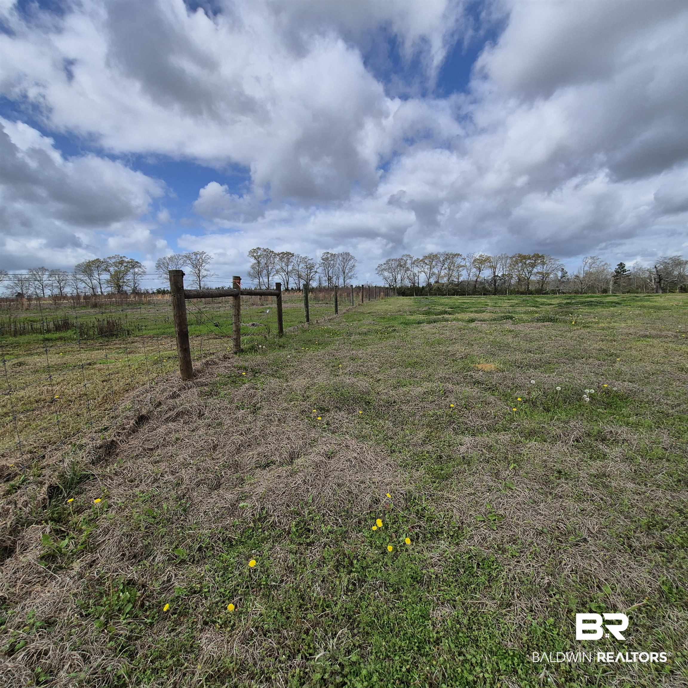 26635 Highway 41 Range, AL 36473 - Photo 64 of 74 View of yard with a view of rural / pastoral area