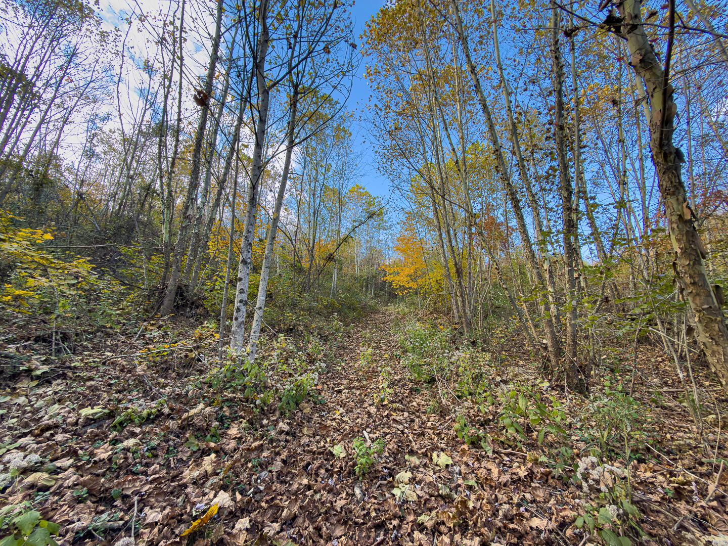 0 Thompsonville Road Wellston, OH 45692 - Photo 16 of 20 Thompsonville Rd 51-16