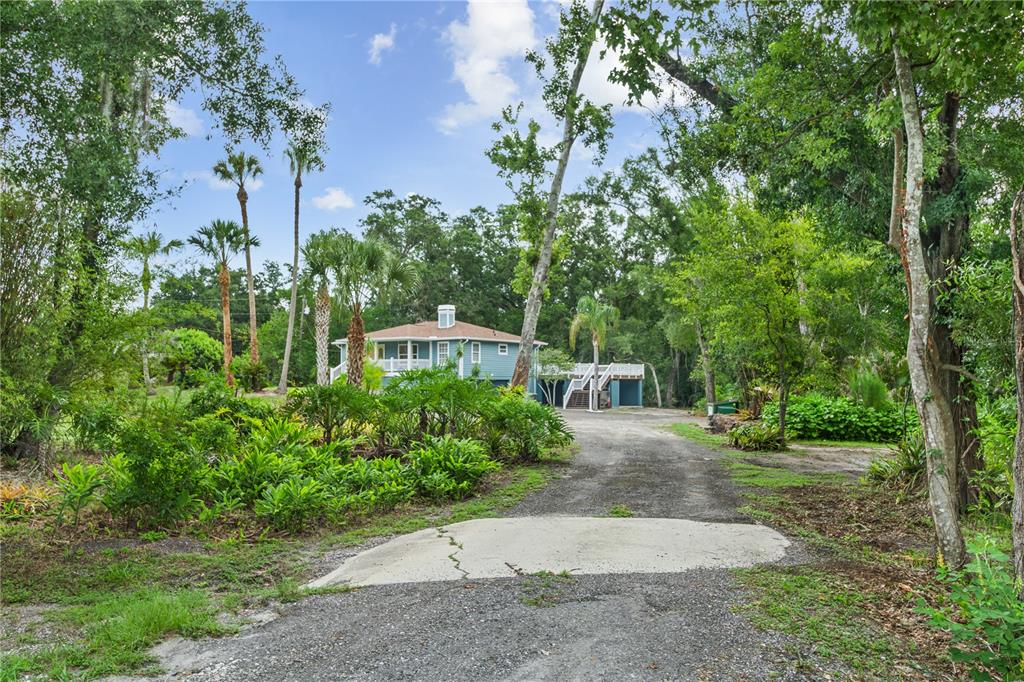 2650 20 Mile Level Road Land O' Lakes, FL 34639 - Photo 8 of 65