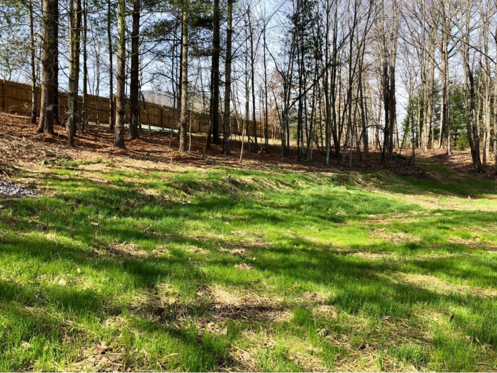 6911 Dale Branch Road Wise, VA 24293 - Photo 24 of 36 Back Yard