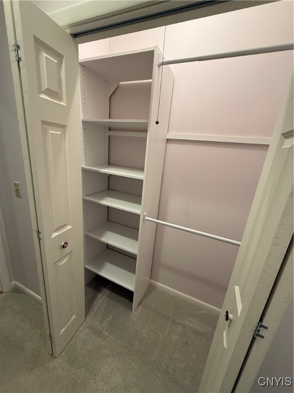 30 The Orchard Manlius, NY 13066 - Photo 24 of 32