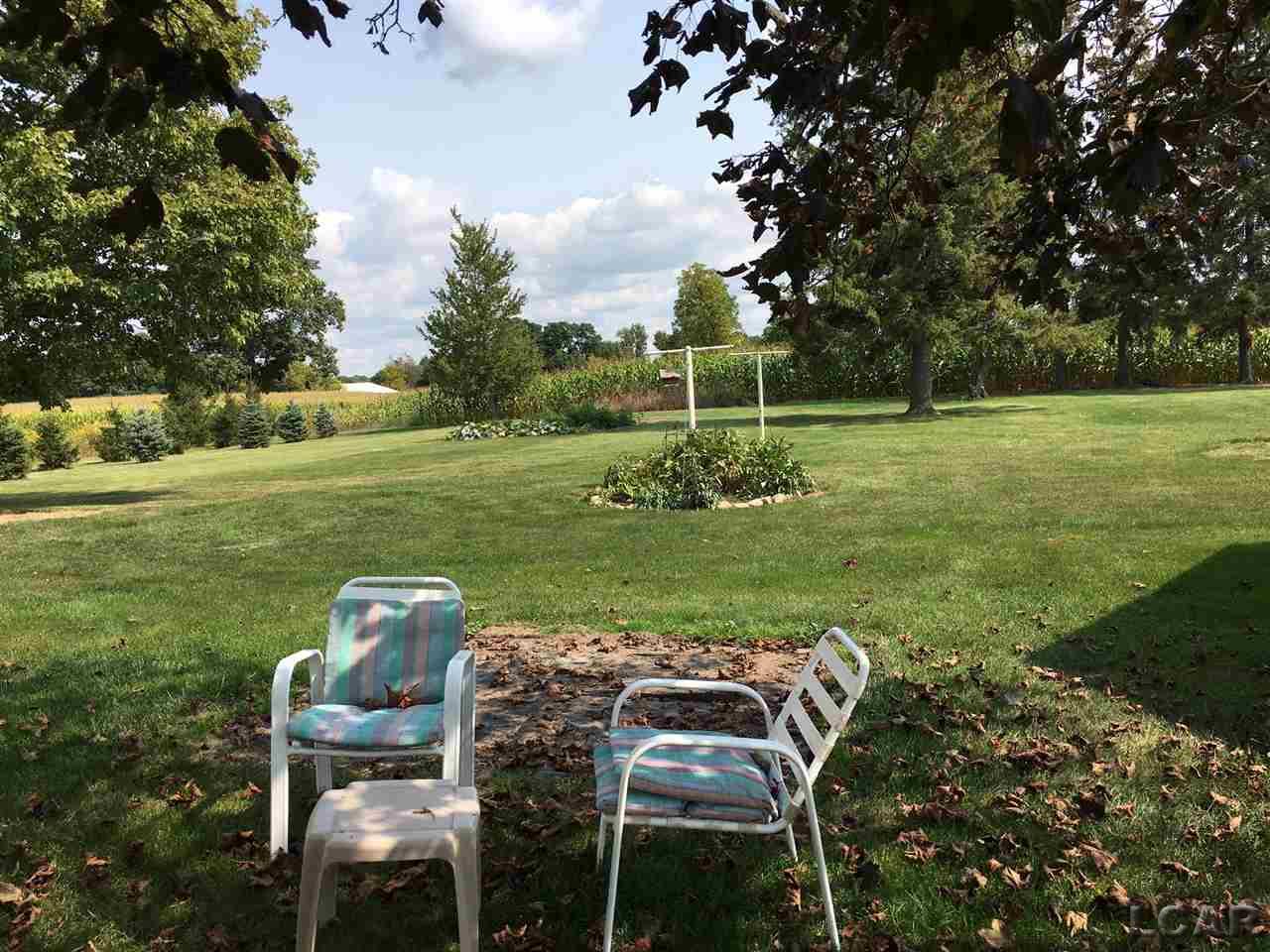 14437 Rome Road Manitou Beach, MI 49253 - Photo 5 of 6 Yard