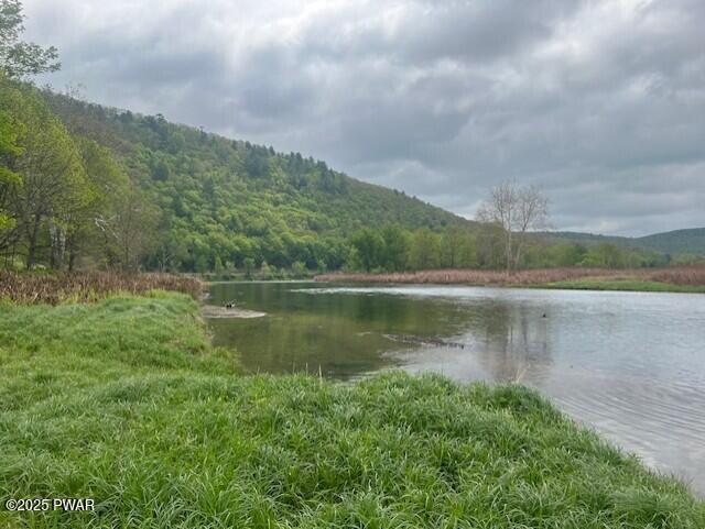 Lot 1 Warren Road Hancock, NY 13783 - Photo 6 of 29