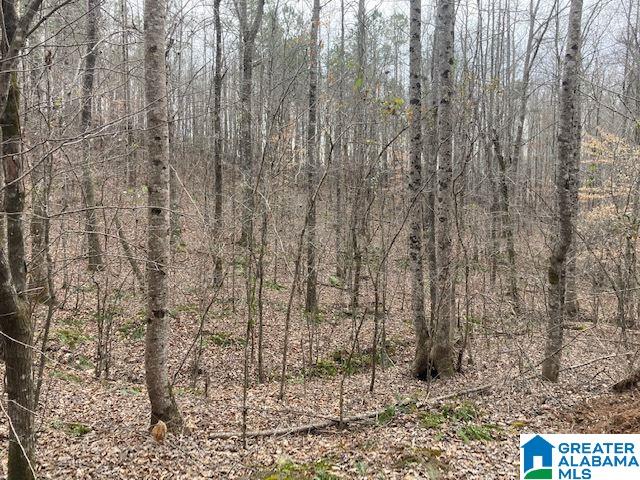 223 County Road, Unit 52 Lineville, AL 36266 - Photo 7 of 15