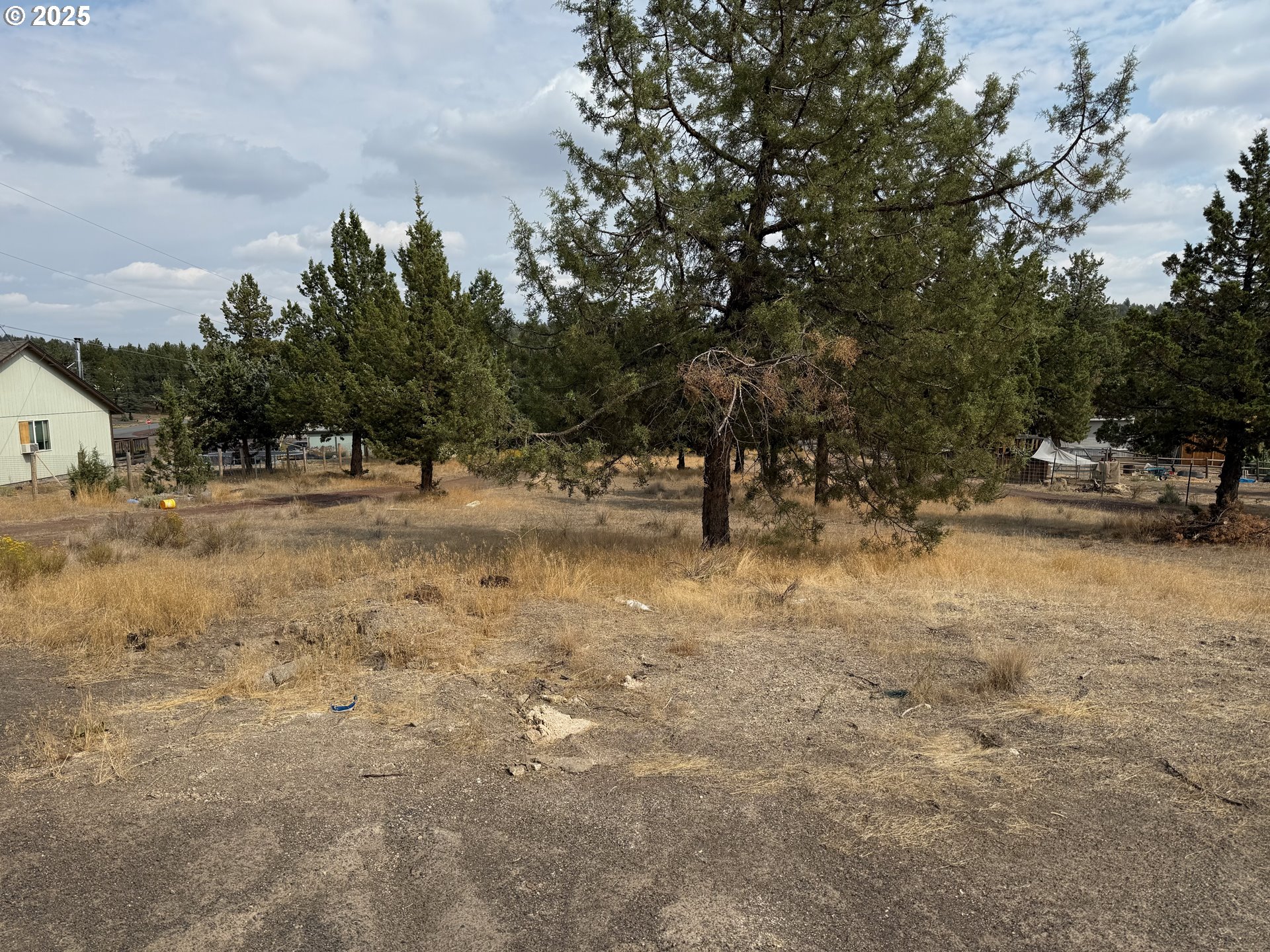 9071 Southwest Sand Ridge Road Terrebonne, OR 97760 - Photo 2 of 40 a view of road with trees
