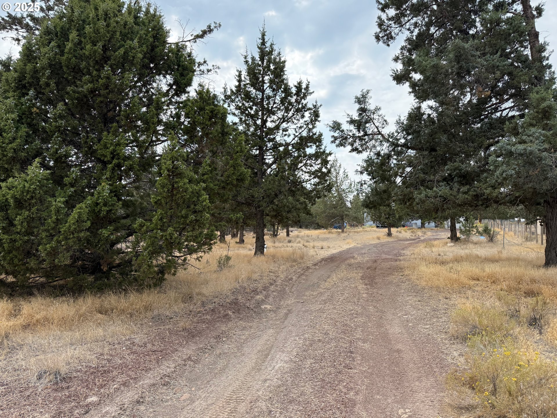 9071 Southwest Sand Ridge Road Terrebonne, OR 97760 - Photo 38 of 40 a view of outdoor space with trees