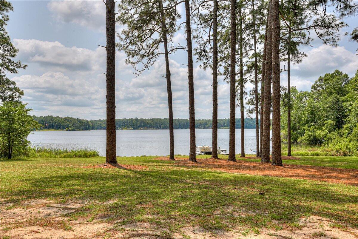 375 Edisto Lake Road Wagener, SC 29164 - Photo 1 of 60 1