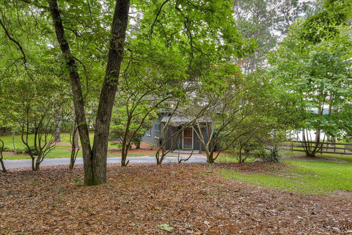 375 Edisto Lake Road Wagener, SC 29164 - Photo 4 of 60 4
