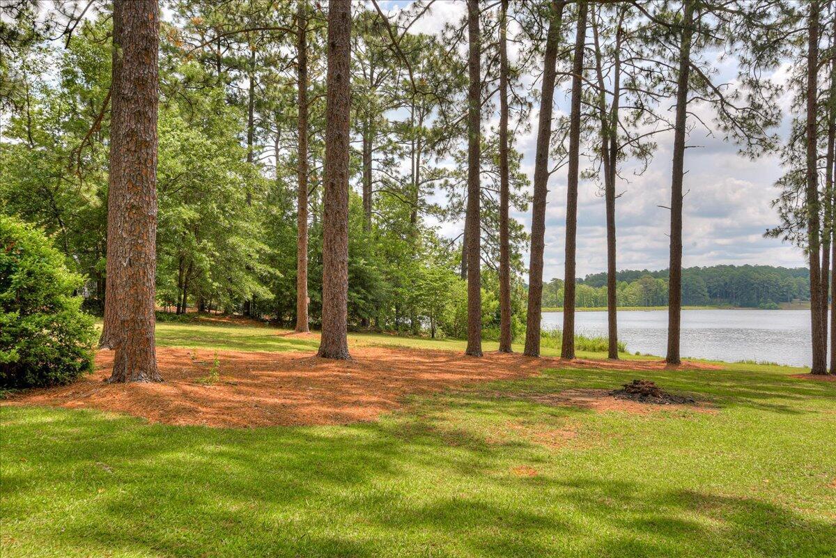 375 Edisto Lake Road Wagener, SC 29164 - Photo 46 of 60 46